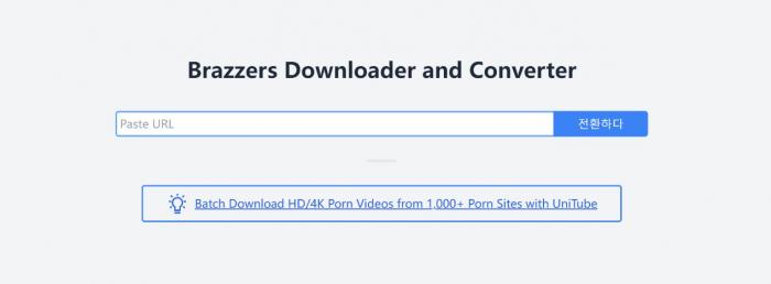 5 Melhores Brazzers Downloader: Como baixar Brazzers