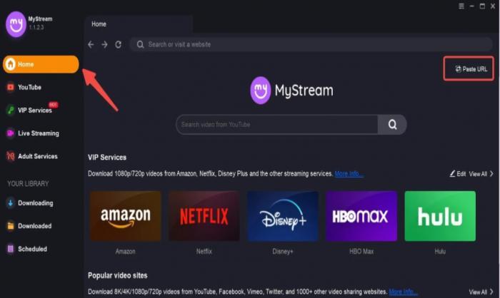 MyStream Downloader