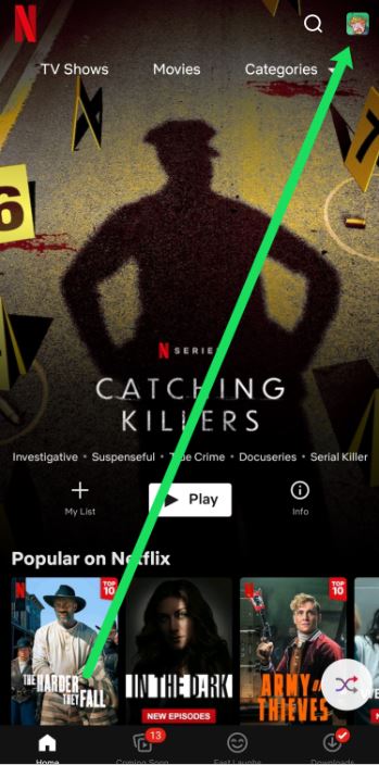 Open the Netflix profile and tap on the Netflix profile picture icon in the right corner